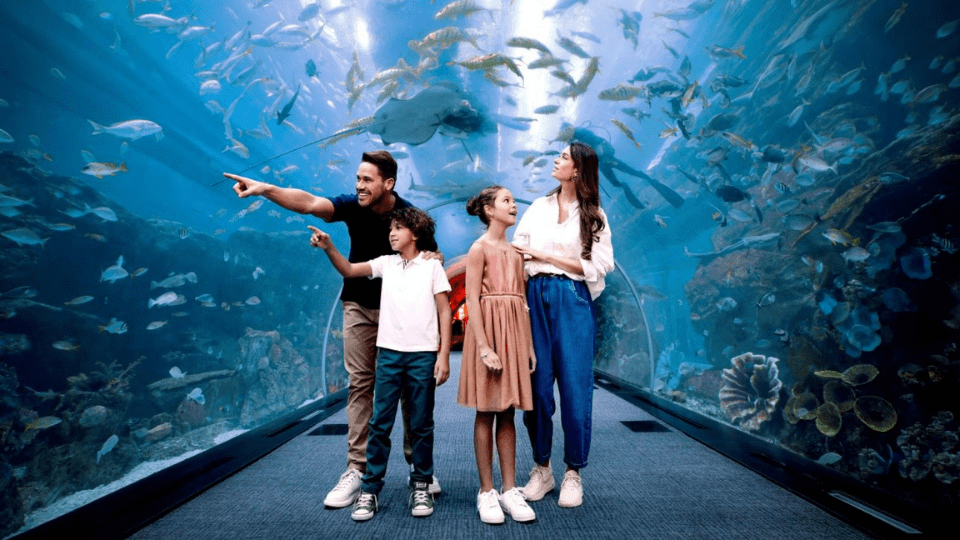 Dubai Aquarium and Underwater Zoo Tickets