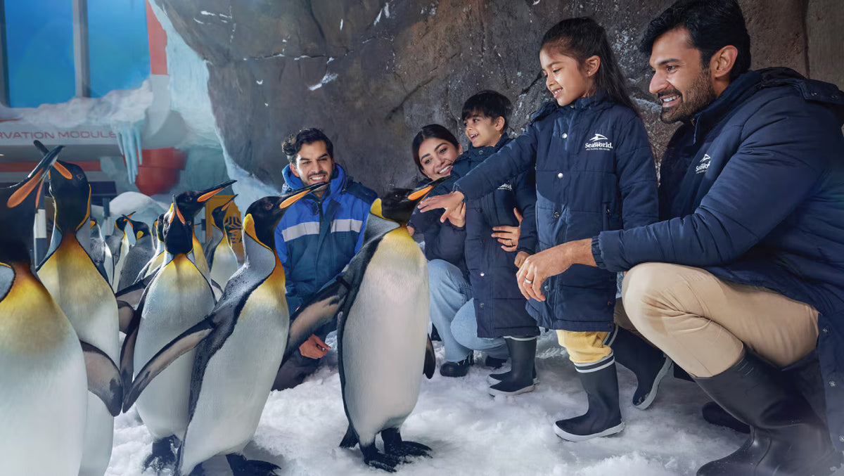 SeaWorld Yas Island Abu Dhabi Tickets