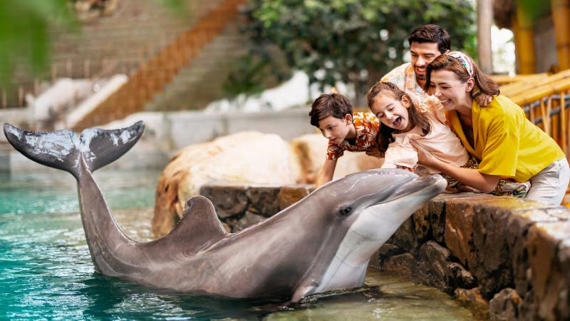SeaWorld Yas Island Abu Dhabi Tickets